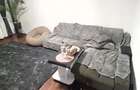 Iau in chirie doamna cu maxim 1 copil apartament 2 cam 5min. Crangasi - 14