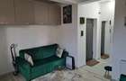 Apartament 2 camere  46 mp | Bucium – Plopii fără Soț |