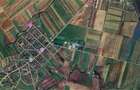 Teren intravilan 1 ha pe dn 79 la 15 km De oradea - 2