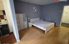 Apartament cu o camera de inchiriat in Timisoara, zona Take Ionescu - 6