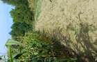 Teren agricol sat.Voroveni - 9