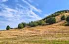 Teren de vanzare 1.257 mp Gura Raului-Zona Marajdiei -Investitie! - 5