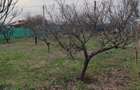 Casa de vanzare Toporu jud Giurgiu - 4