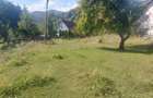 Teren Avram Iancu Jud Alba - 5