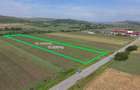 Teren 10.670 mp | Bor?a Cluj | Front 38m | Utilita?i - 4