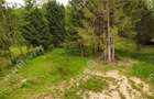Teren intravilan 3000 mp in Porumbacu de Sus din Sibiu - 2