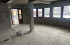 Casa P + M, 260 mp construc?ie + 2300 mp teren, Ionoseni (Bucecea) - 8