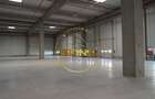 Spatiu industrial, clasa A, zona centura nord, Stefanesti - Afumati - 7