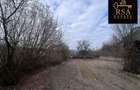 Vanzare teren 2100 mp, Mihaesti Barsesti, ideal casa sau investiti - 5