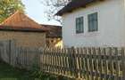 De vanzare casa cu 7000mp teren apa de la retea curent electric si izvor an curte - 4