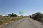 Teren de vanzare cu autorizatie pentru 2 hale - Otopeni - 10.000 mp - 9