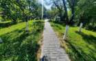 Casa de vacanta teren 5 Ari intravilan Bercu Rosu - Satu Mare - 5