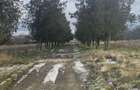 Exclusivitate,Agigea-Penny Market, teren 49284mp, intravilan,124m desc - 6
