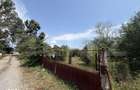 Teren intravilan 775 mp, zona Islaz - 3