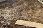 Apartament cu 3 camere, 68 mp grădină privată de 89mp, spatiu si confort - 2