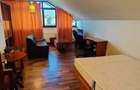 Apartament 1 camera CENTRUCOPOU -350 EURO - 7