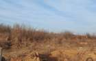 Teren LAC Butimanu - Barbuceanu 19000 m2 deschidere 51m lac - 37m la drum - 6
