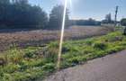 Teren intravilan 2.500 mp de vanzare aproape de centru, Cornesti, Dambovita