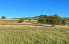 Teren agricol extravilan de 2900 mp, în Nucet - 4