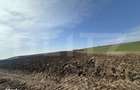 TEREN ARABIL EXTRAVILAN 15.000 mp SANTUHALM - 2