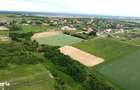 Teren intravilan 2.935 mp in Viile Satu Mare | Aproape de padure - 7