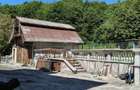 Proprietate Impunatoare D+P+1E+M Teren 1600 mp Bascov (Sat Uiasca) - 9