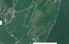 Teren 5,3 ha arabil Mironeasa ,compact - 1