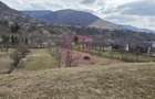 Teren intravilan de vanzare in Valea Doftanei - 8