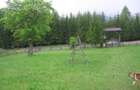 Teren intravilan Valea Doftanei - 7