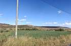 Vand teten in Valea Calda - 4