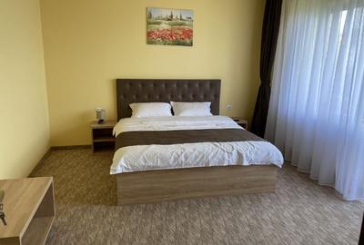Casă individuală cu 6 camere cu Canalizare în Drumul Poienii - 9