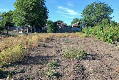 Teren de 2000 mp, în Bolotești - 9