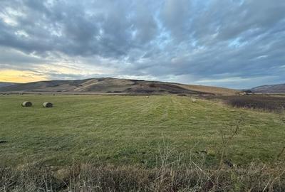 Teren Construcții de 6000 mp, în Cojocna - 8