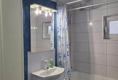 Apartament cu 2 camere semidecomandat în Cetate - 3