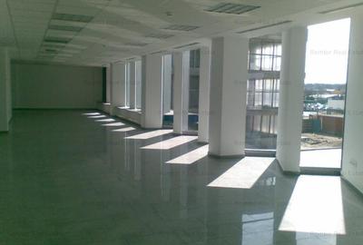 Spațiu industrial, de 700 mp, în Mogoșoaia - 3