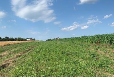 Teren Construcții intravilan de 3487 mp, în Petrăchioaia - 7