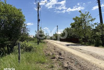 Teren de 2200 mp, în Moșoaia - 6