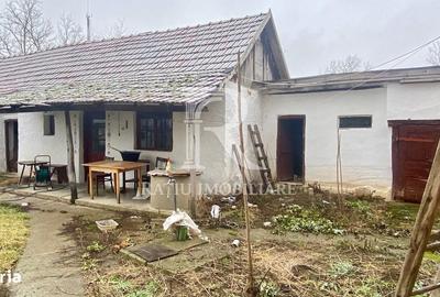 Casă cu 4 camere cu Teren 2000 Mp în Borș - 1