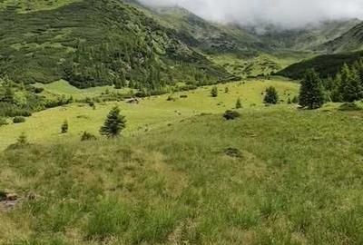 Spațiu comercial, de 1,100,000 mp, în Nucșoara - 7