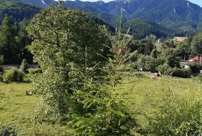 Teren de 1500 mp, în Central - 2