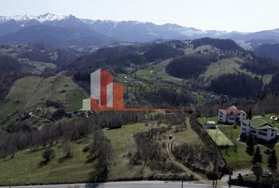 Teren Construcții intravilan de 29595 mp, în Drumul Carului - 8