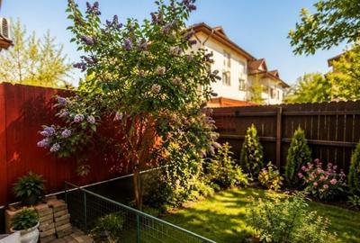 Casă cu 4 camere cu Teren 282 Mp în Apărătorii Patriei - 5