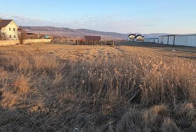 Teren de 1000 mp, în Buhoci - 1