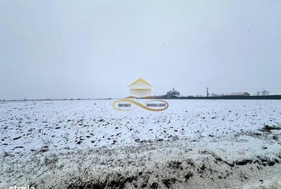 Teren de 4579 mp, în Săucești - 3