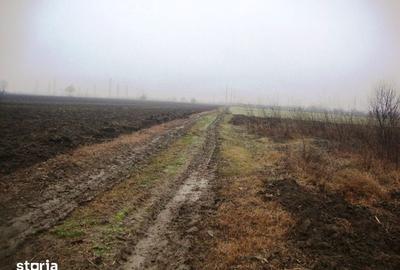 Teren de 2306 mp, în Cocorăștii Mislii - 1