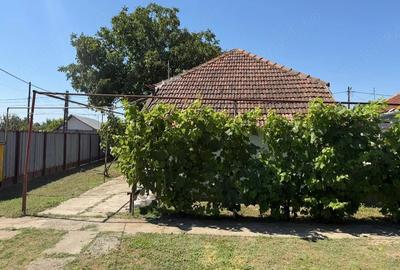 Casă cu 3 camere cu Teren 900 Mp în Ciorani