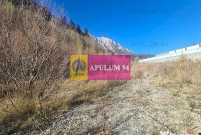 Teren de 14969 mp, în Bușteni - 9