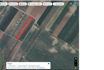Teren agricol extravilan de 10000 mp, în Berceni - 1