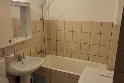 Garsonieră în Brazda lui Novac