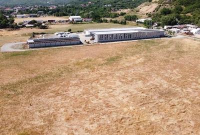 Teren Construcții intravilan de 4307 mp, în Podari - 6
